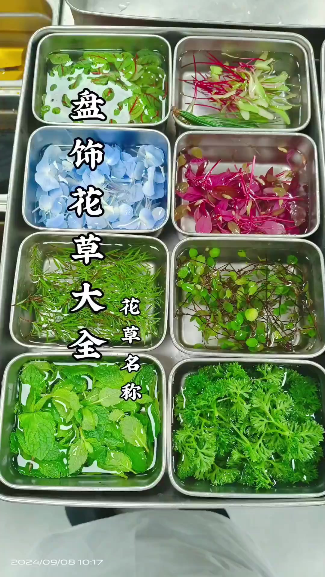 花草大全 酒店凉菜花草名称 花草名称 花花草草 盘饰花草