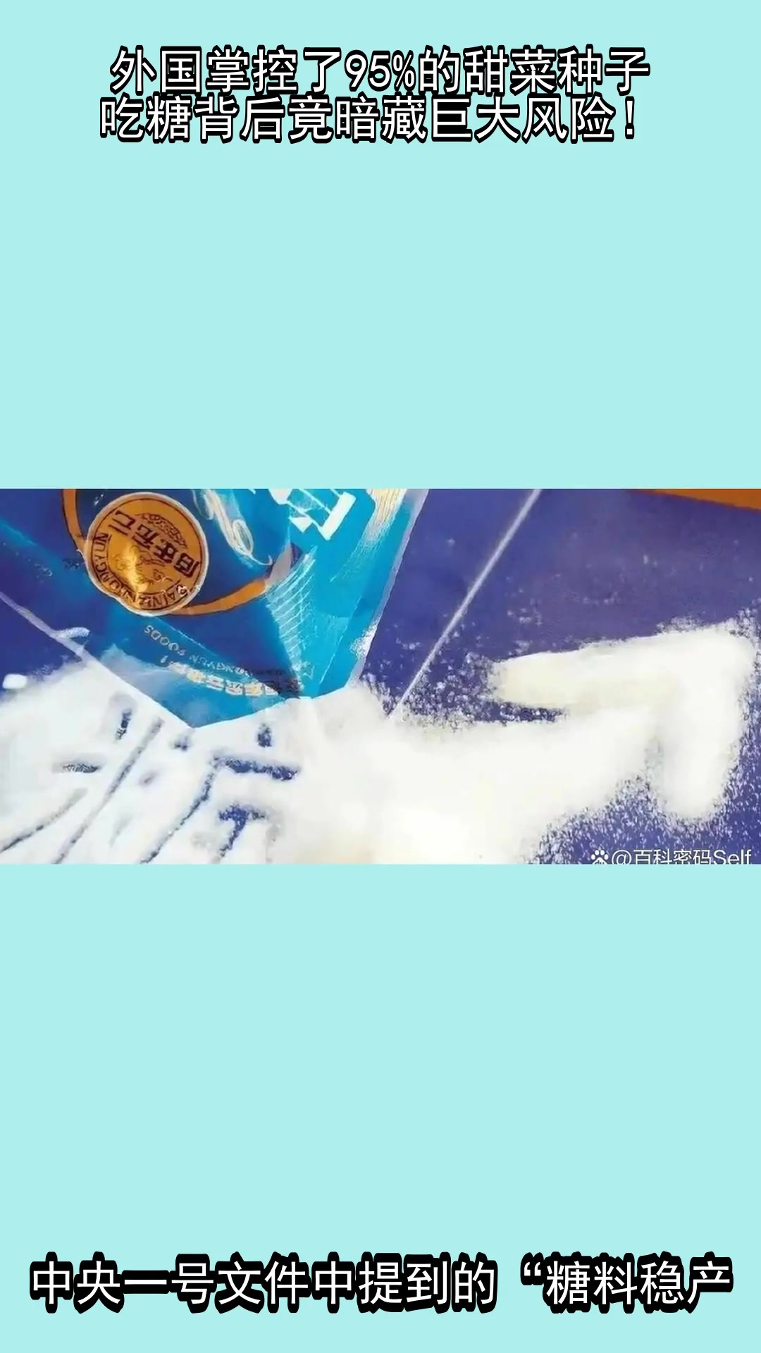 外国掌控了95%的甜菜种子,吃糖背后竟暗藏巨大风险!