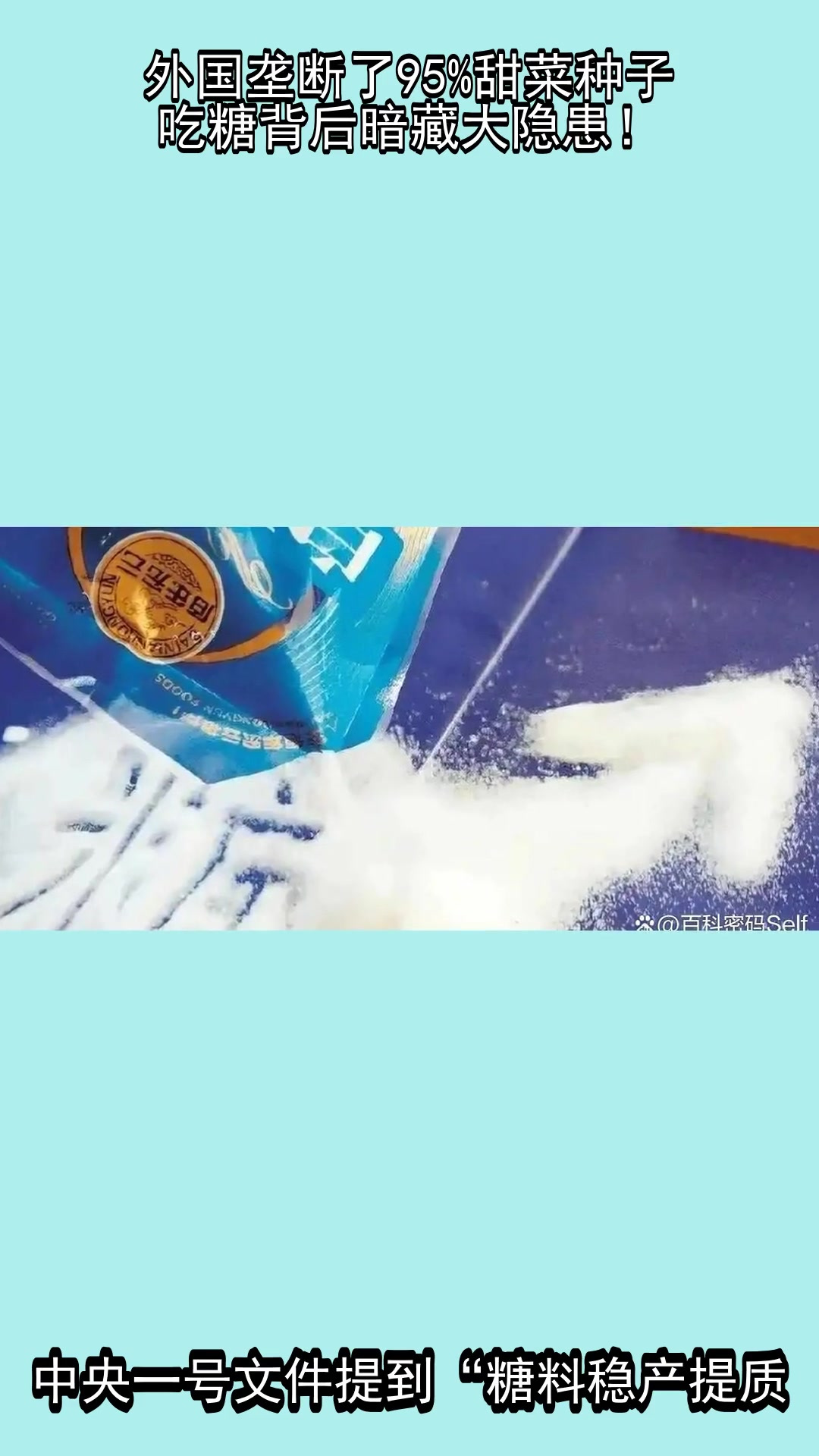 外国垄断了95%甜菜种子,吃糖背后暗藏大隐患!