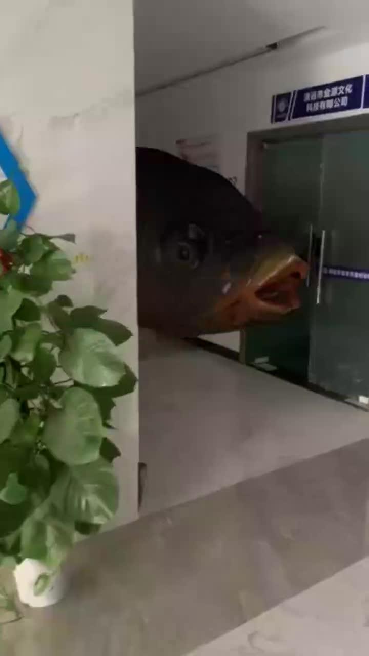 巨大的食人鱼视频欣赏