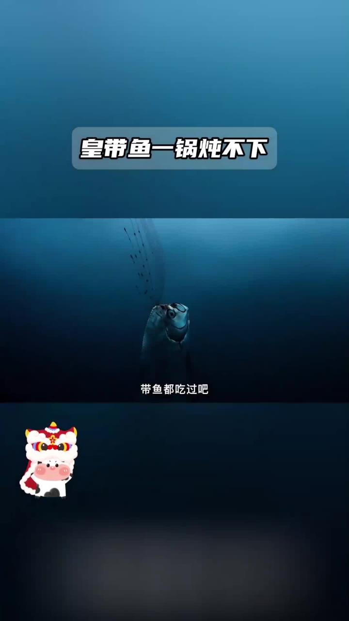 皇带鱼炖不下,动物的力量真惊人.mp4