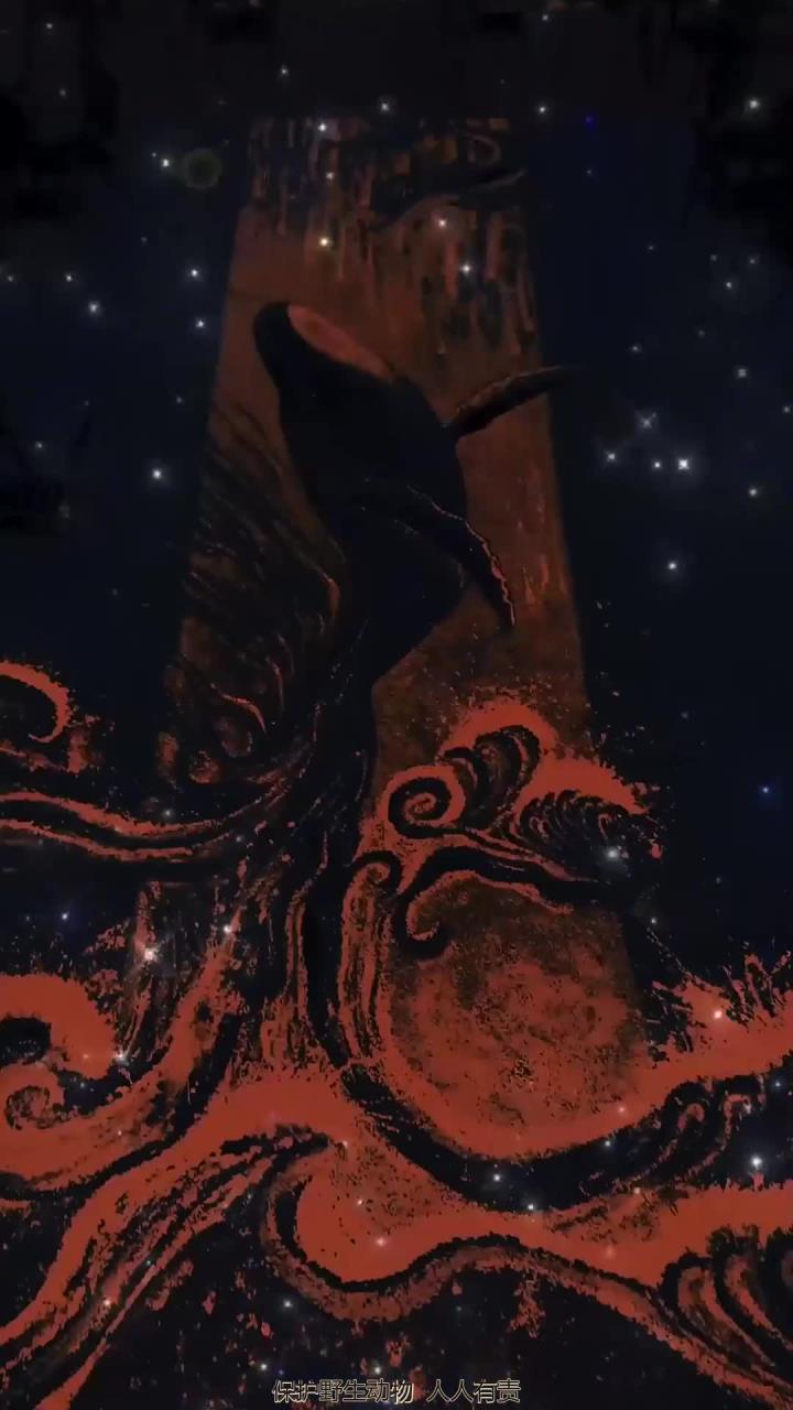 是有点疯狂，巨鲸与海豚的梦幻之恋，鲸跃诠释对大海的热爱与美好寓意
