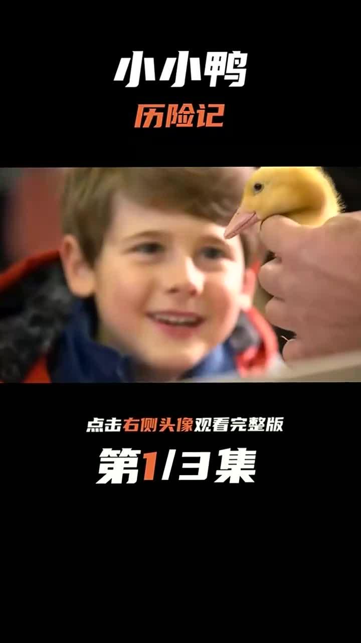 你喜欢小鸭子吗