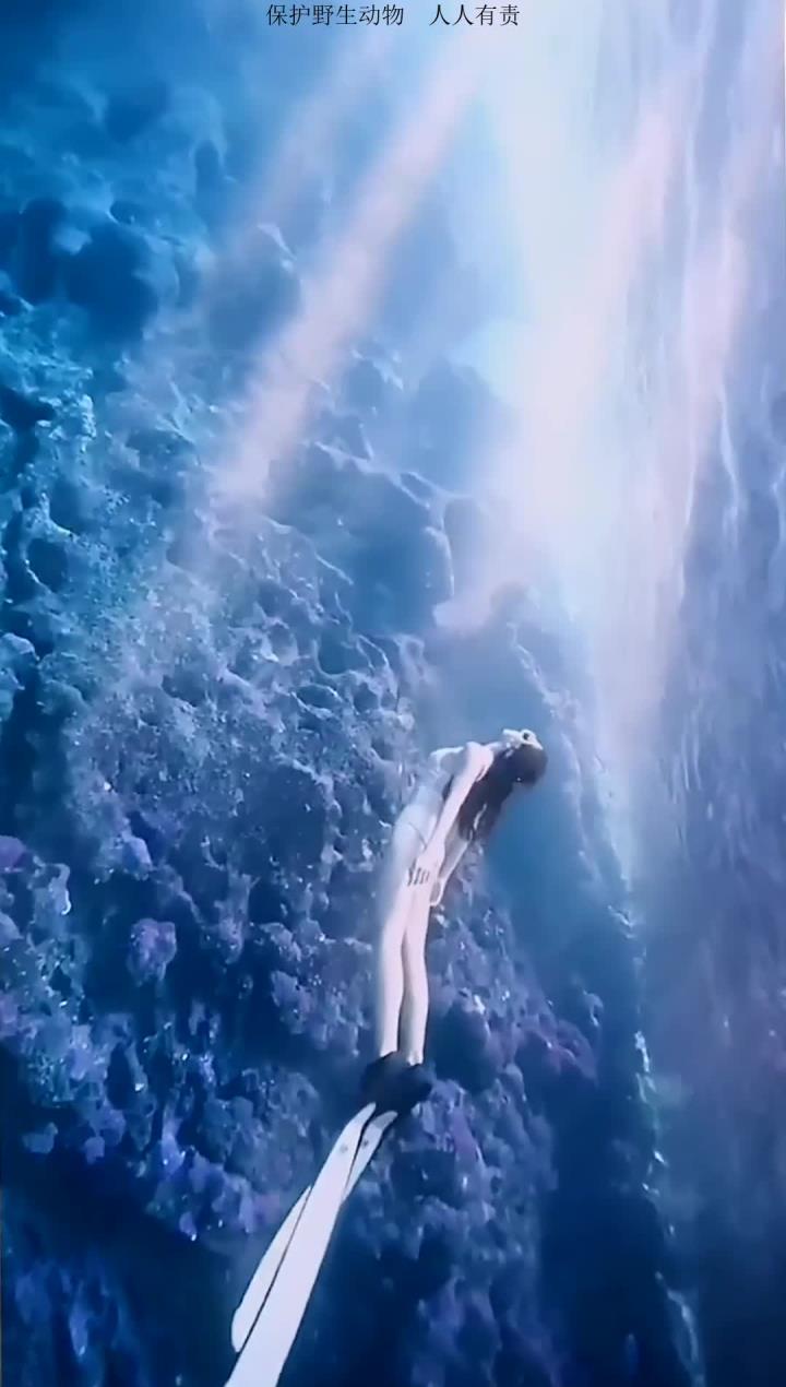 海底世界色彩斑斓,绚丽珊瑚是海洋鱼群的乐园