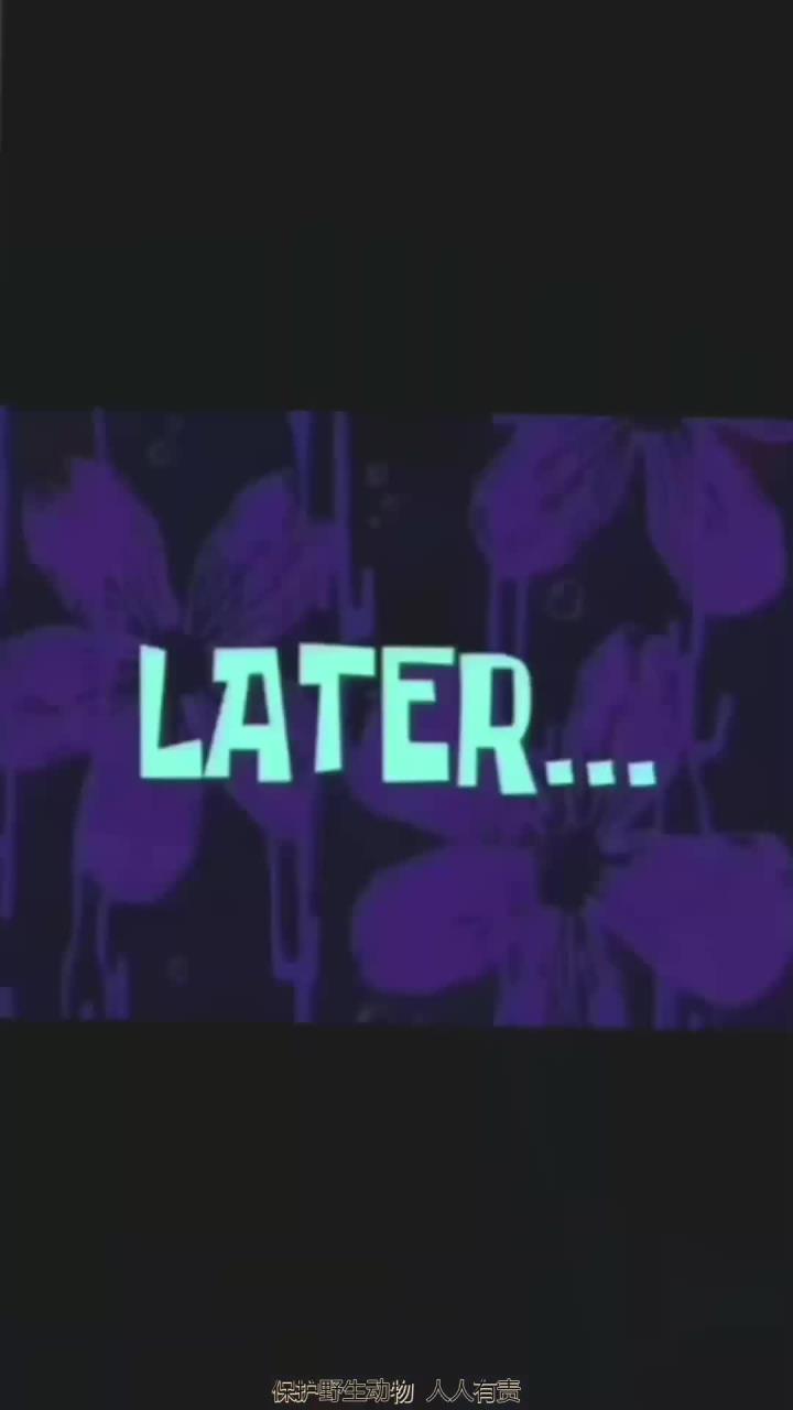 鲨鱼与鳐鱼的谜团解析