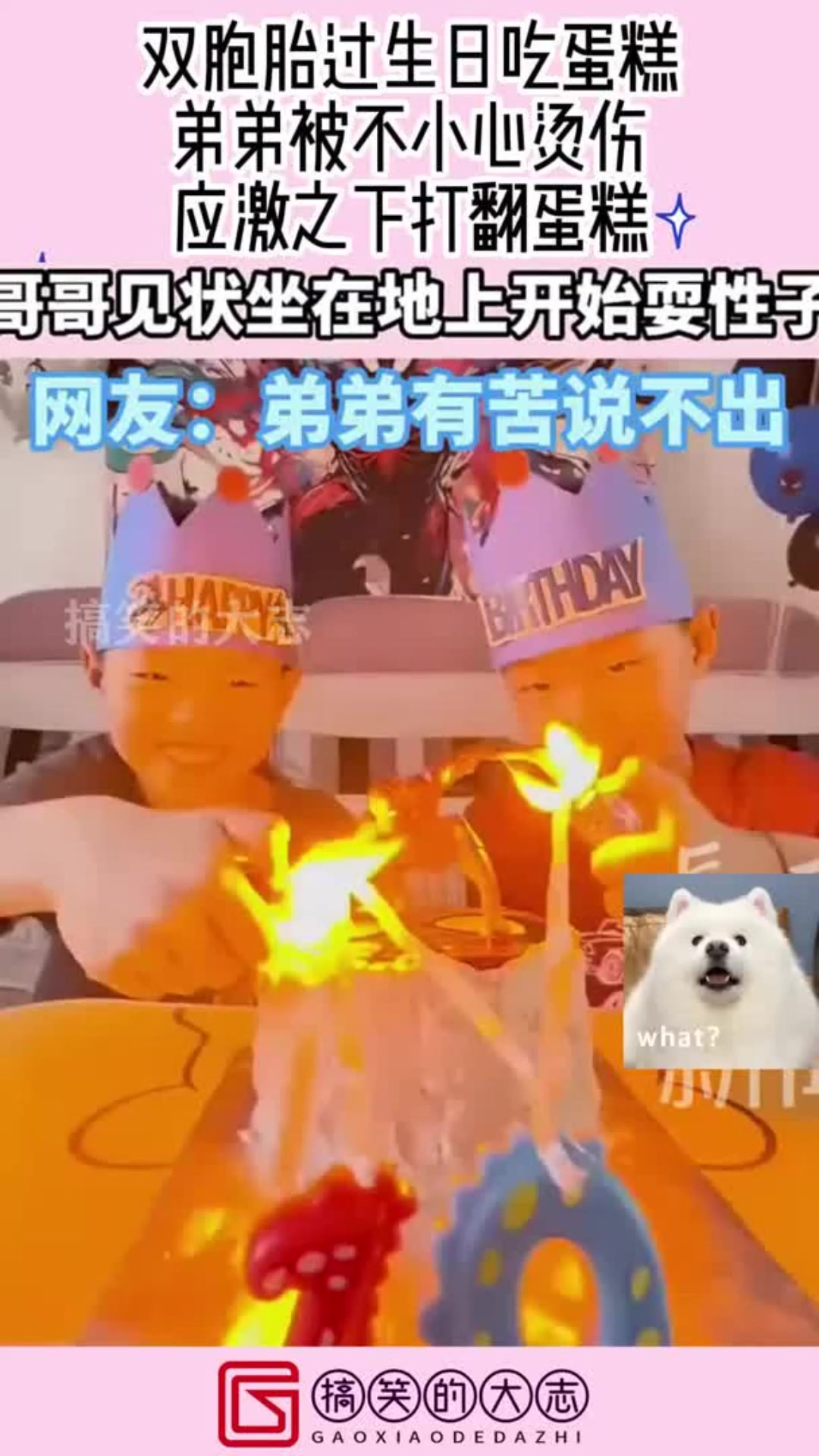 双胞胎过生日吃蛋糕,弟弟被不小心烫伤,应激之下打翻蛋糕!