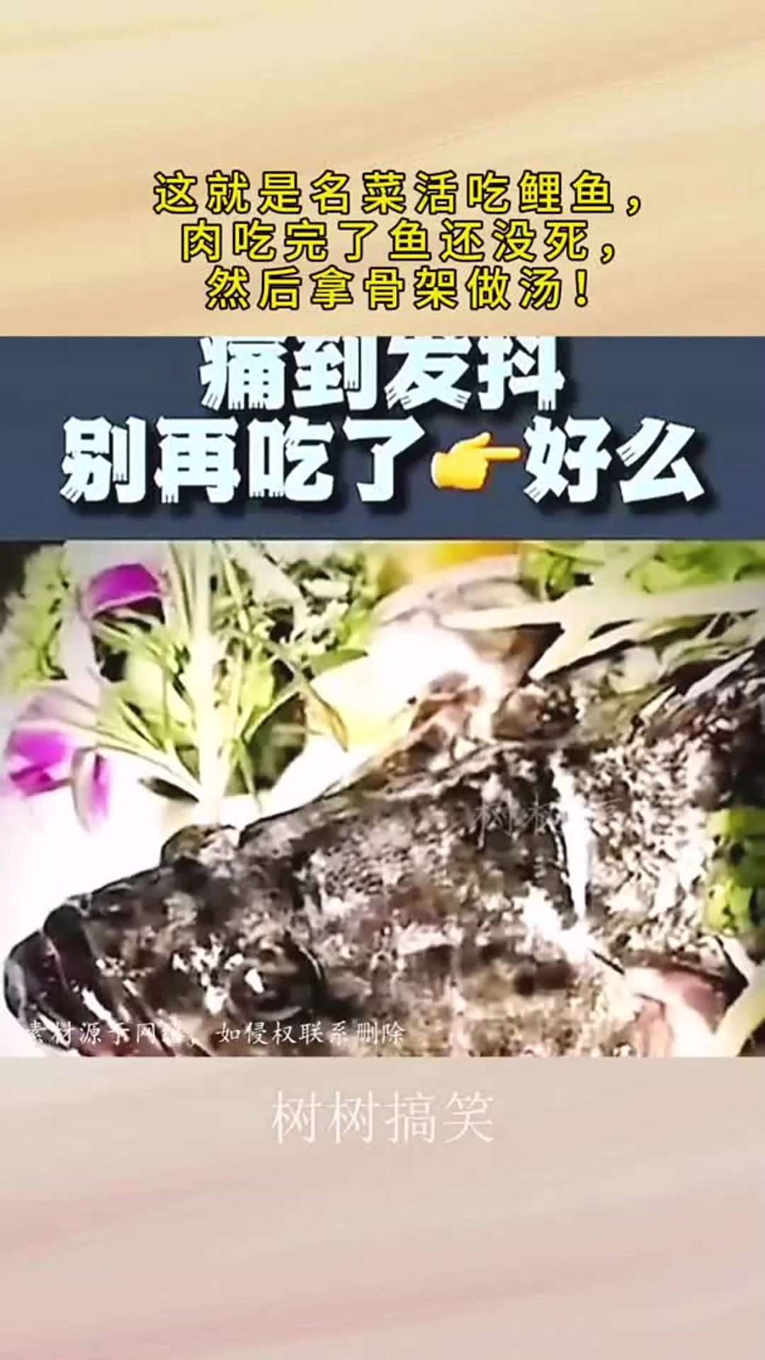 这就是名菜活吃鲤鱼，肉吃完了鱼还没死，然后拿骨架做汤！