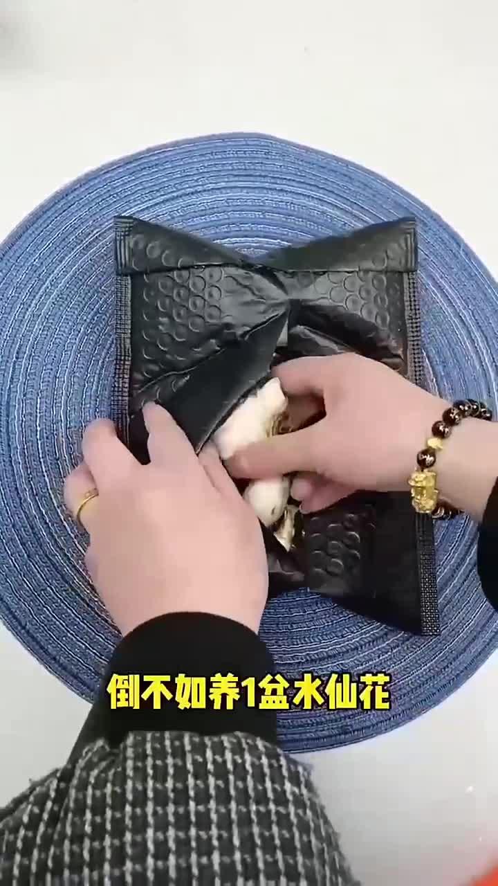 水仙花种球开花满屋都是奶香味,而且它不生病不长虫,有水就能养