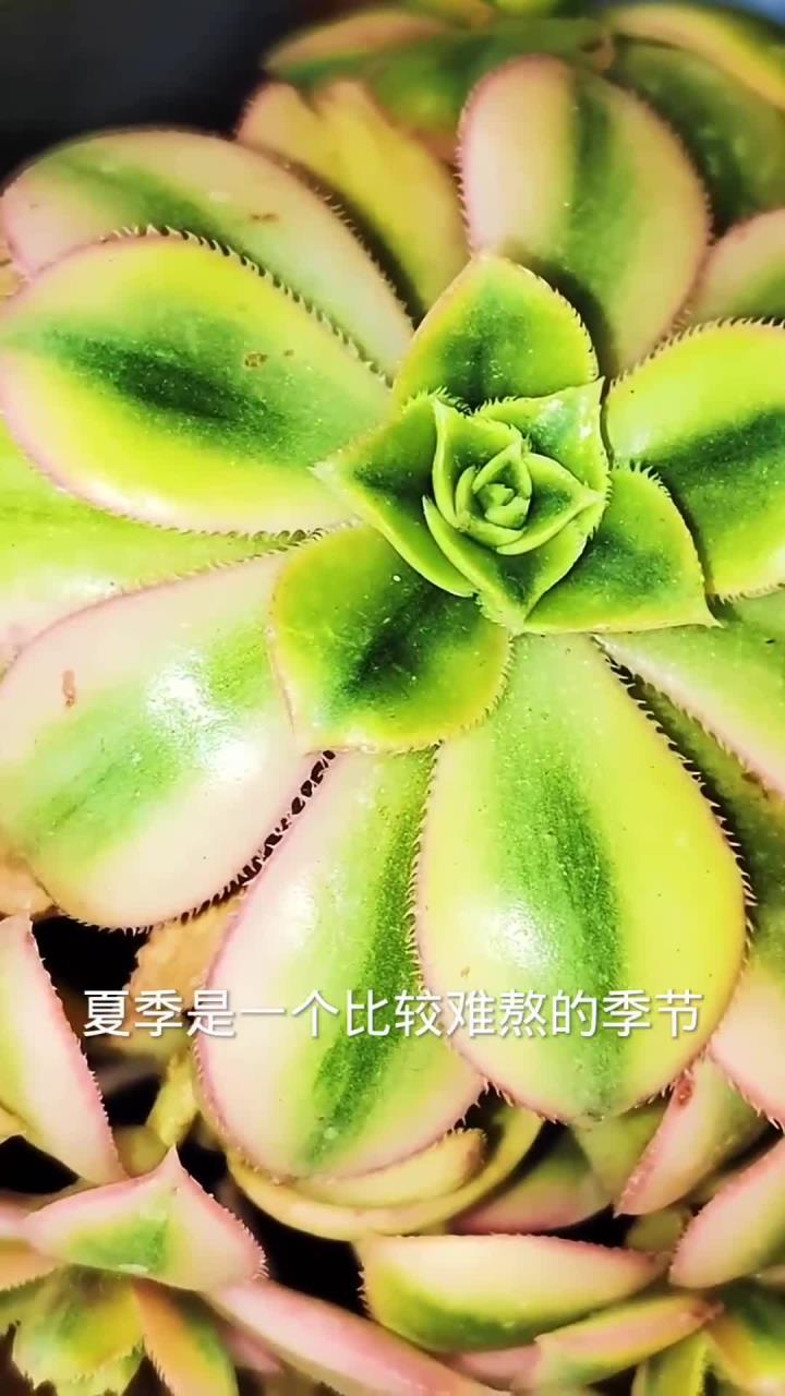 法师如何顺利度夏?