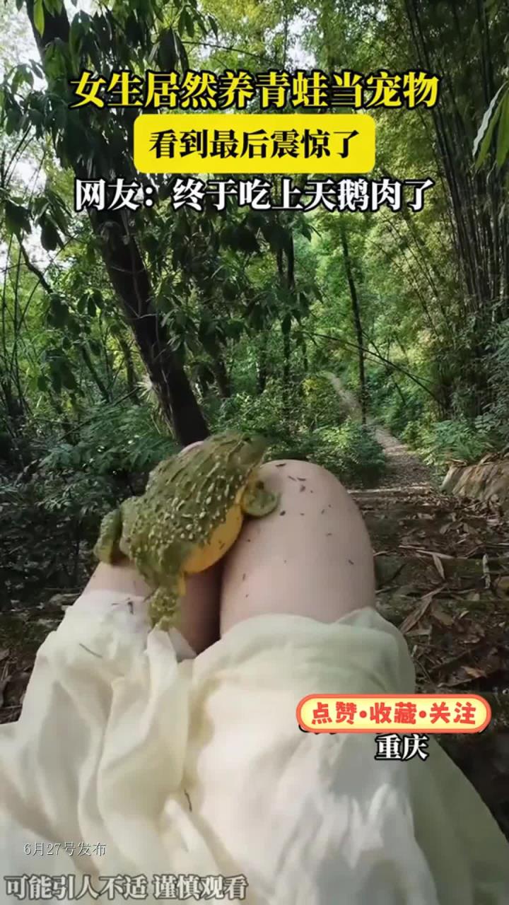 女生居然养青蛙当宠物，看到最后震惊了，网友：终于吃上天鹅肉了