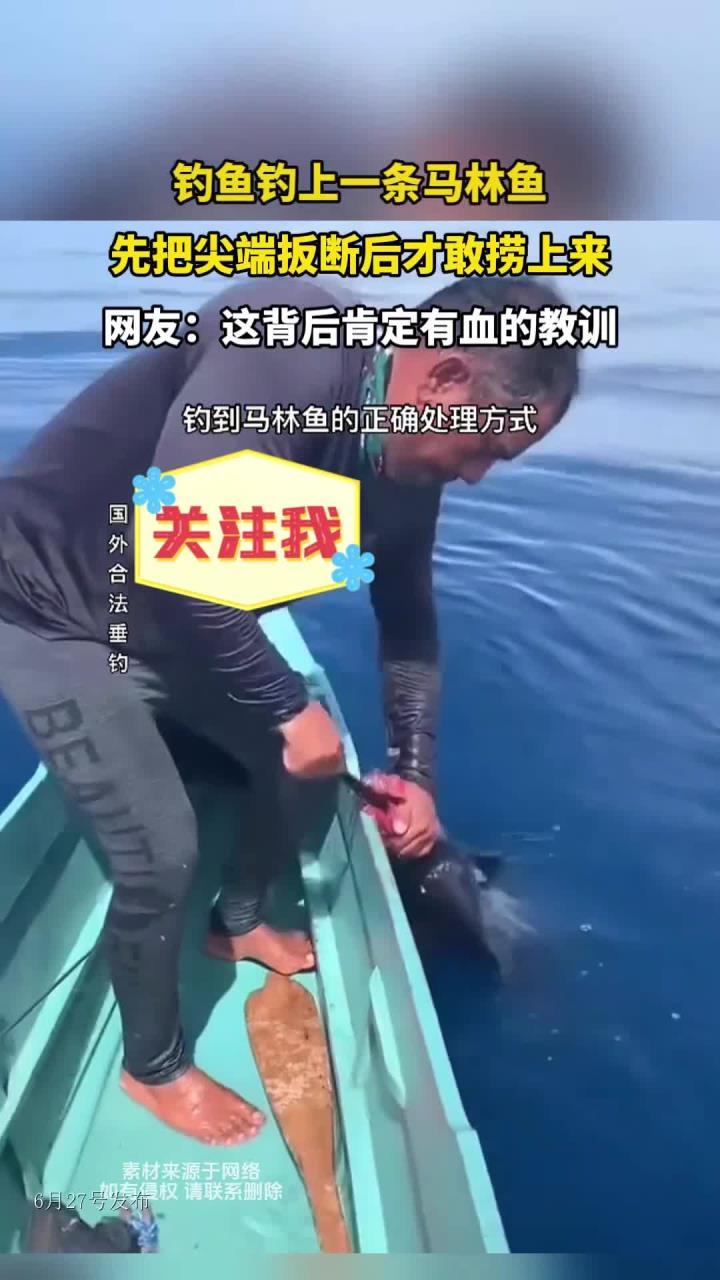 钓鱼钓上一条马林鱼,先把尖端扳断后才敢捞上来