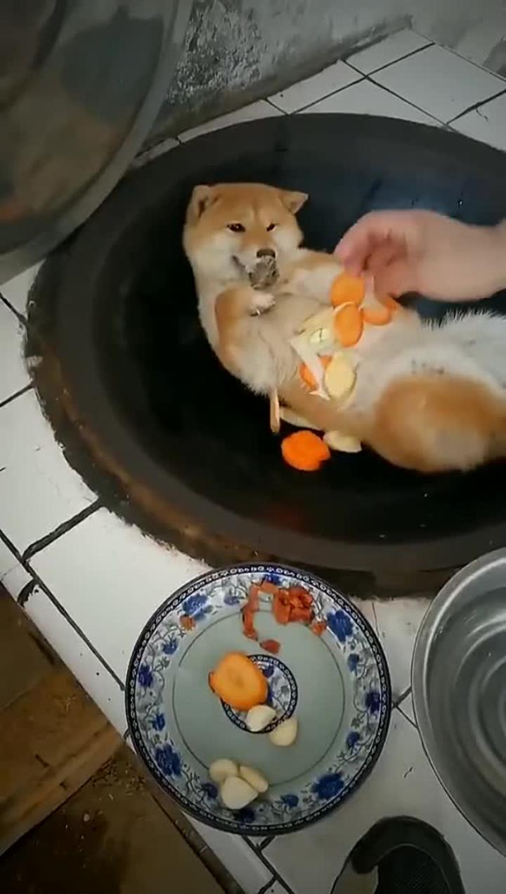 狗肉汤的做法