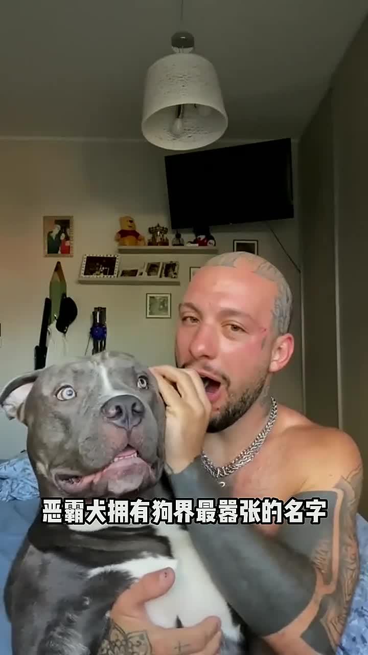 拥有狗界最嚣张名字的恶霸犬