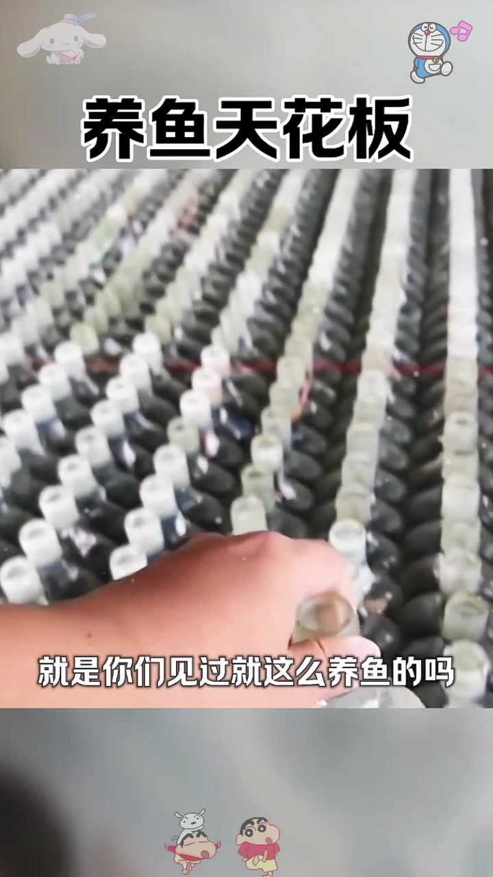  居然还有这样养鱼的啊。