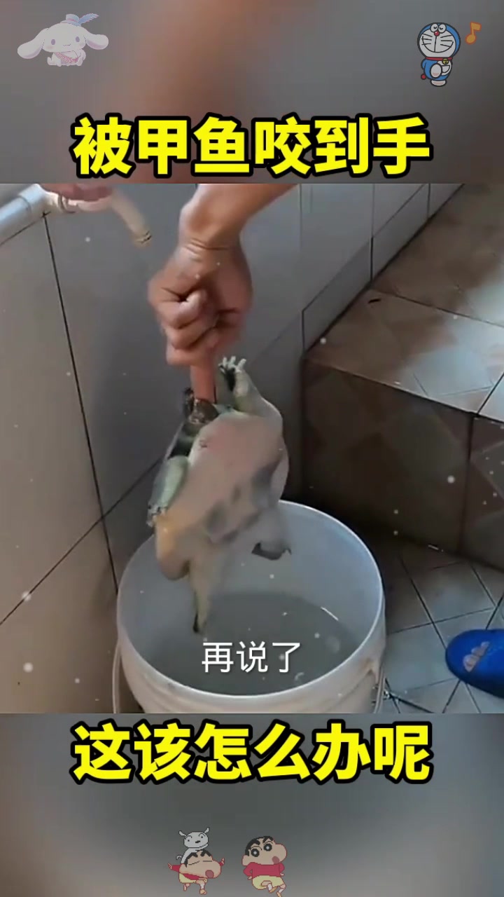  被甲鱼咬了手,这该怎么办!