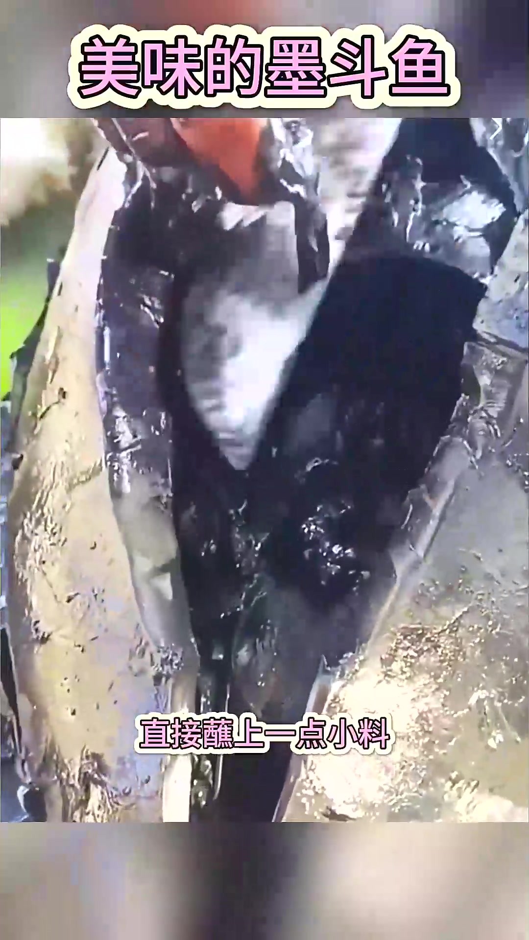  美味的墨斗鱼,有大补的效果