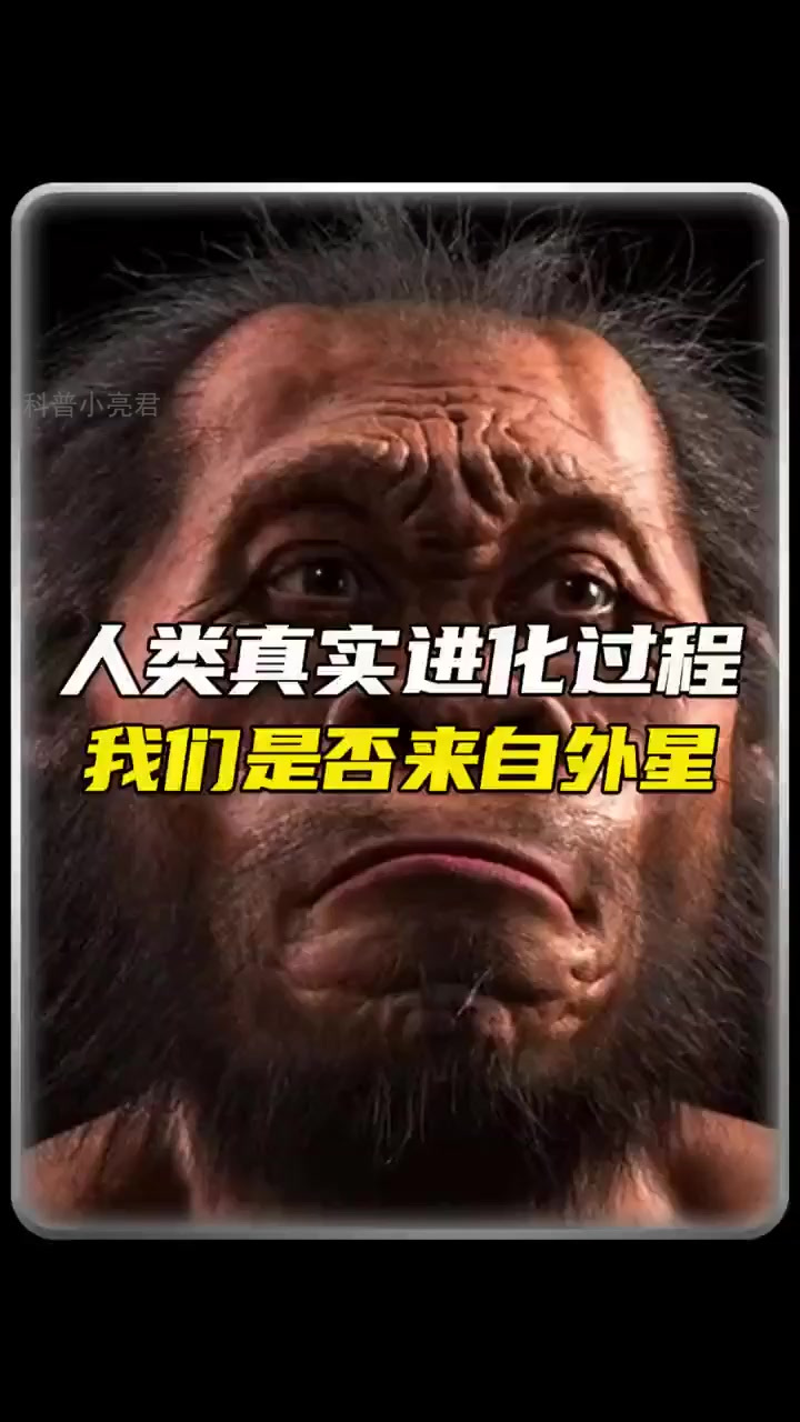 从鱼到人:揭秘人类进化的惊人真相!