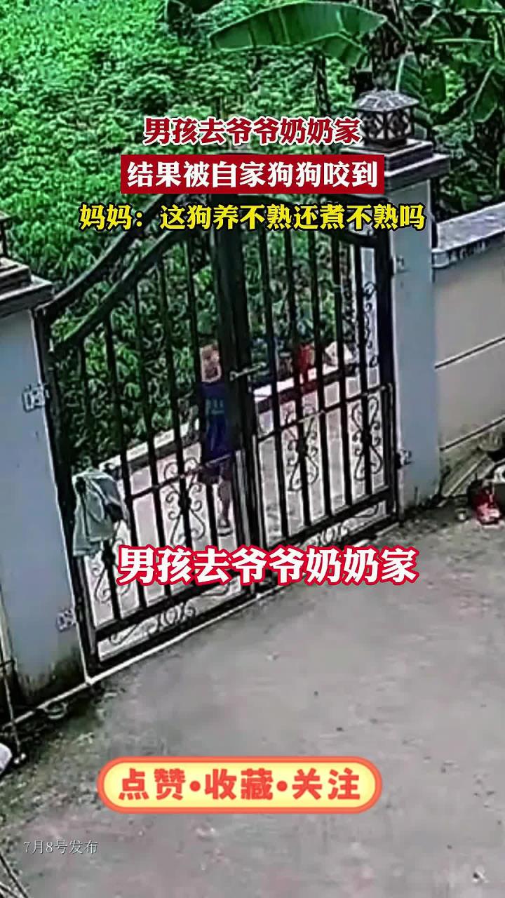 男孩去爷爷奶奶家，结果被自家狗狗咬到