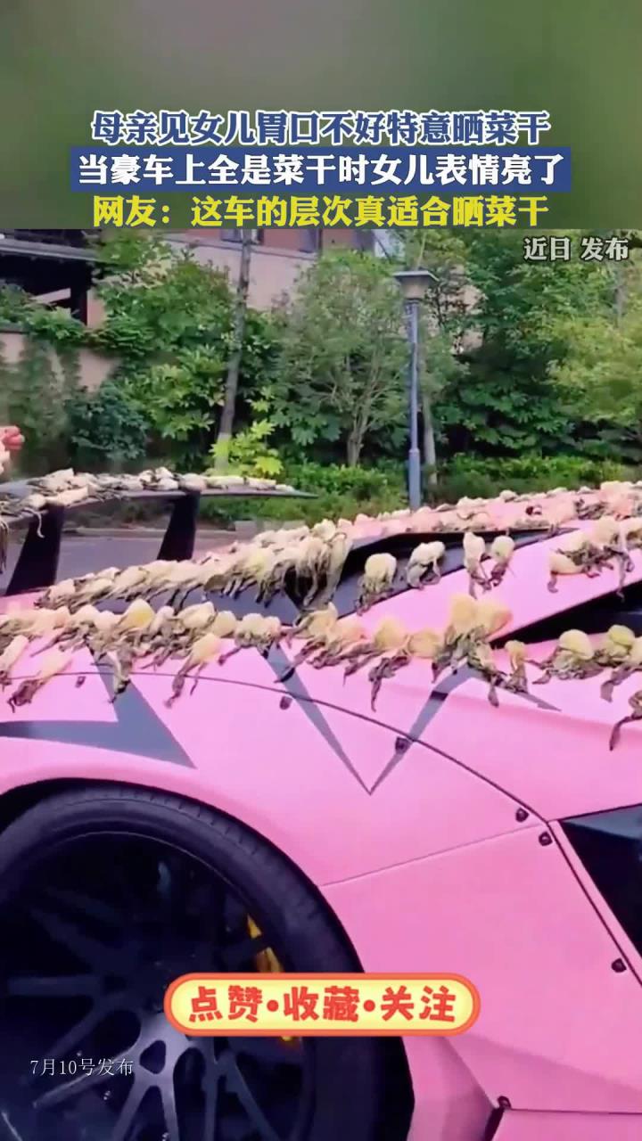 母亲见女儿胃口不好特意晒菜干，当豪车上全是菜干时女儿表情亮了
