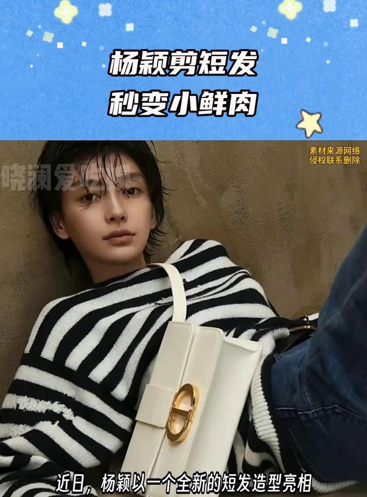 35岁杨颖剪短发秒变小鲜肉