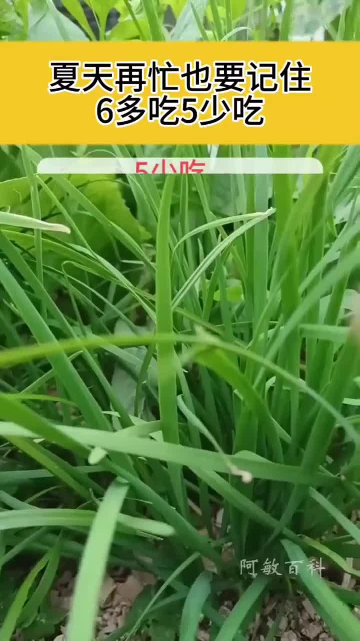 健康精粹:夏日健康指南与禁忌要点