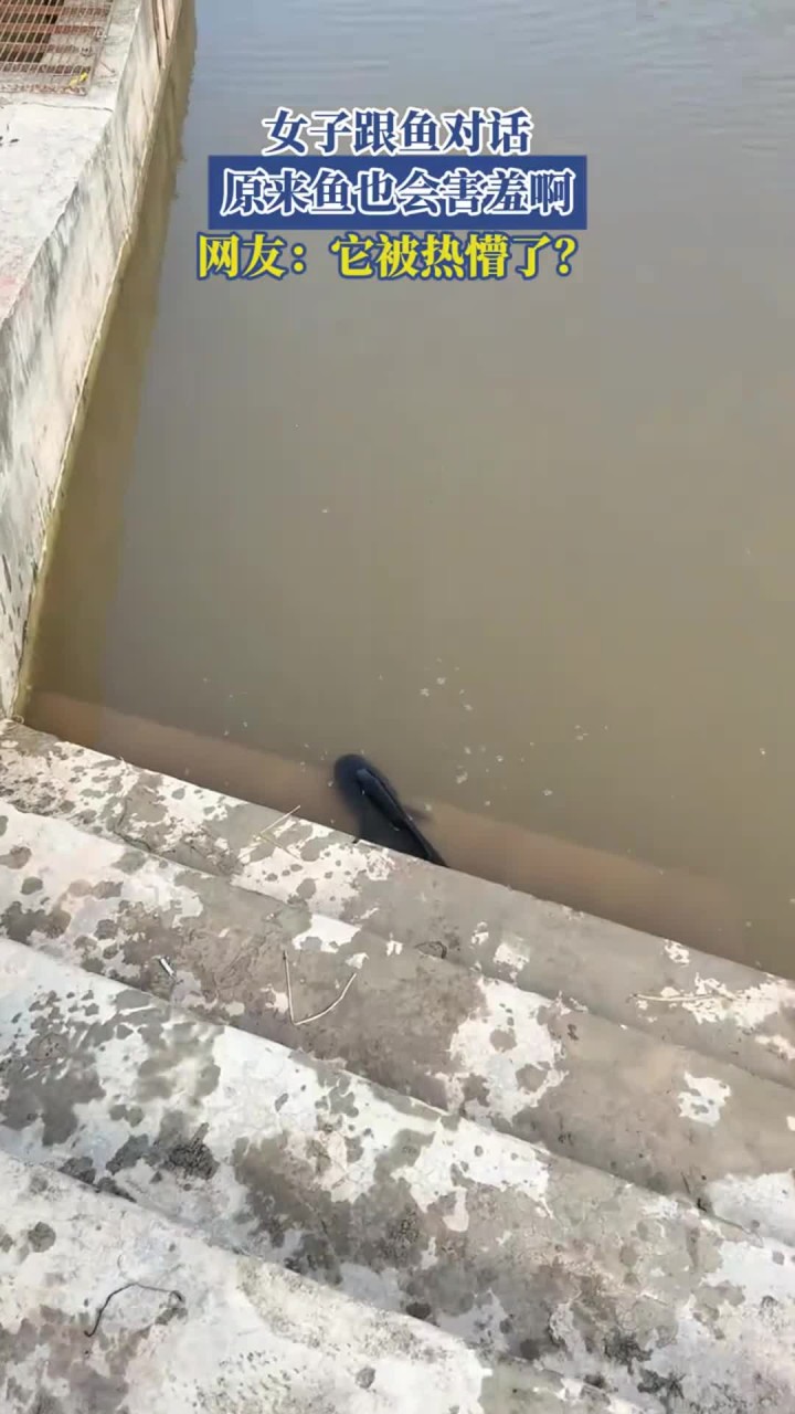 女子跟鱼对话，原来鱼也会害羞啊，网友：它被热懵了？