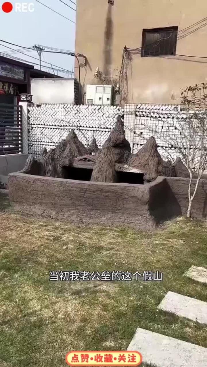 学好生物学还是有用的,老公直接给假山鱼池上了一个生态系统