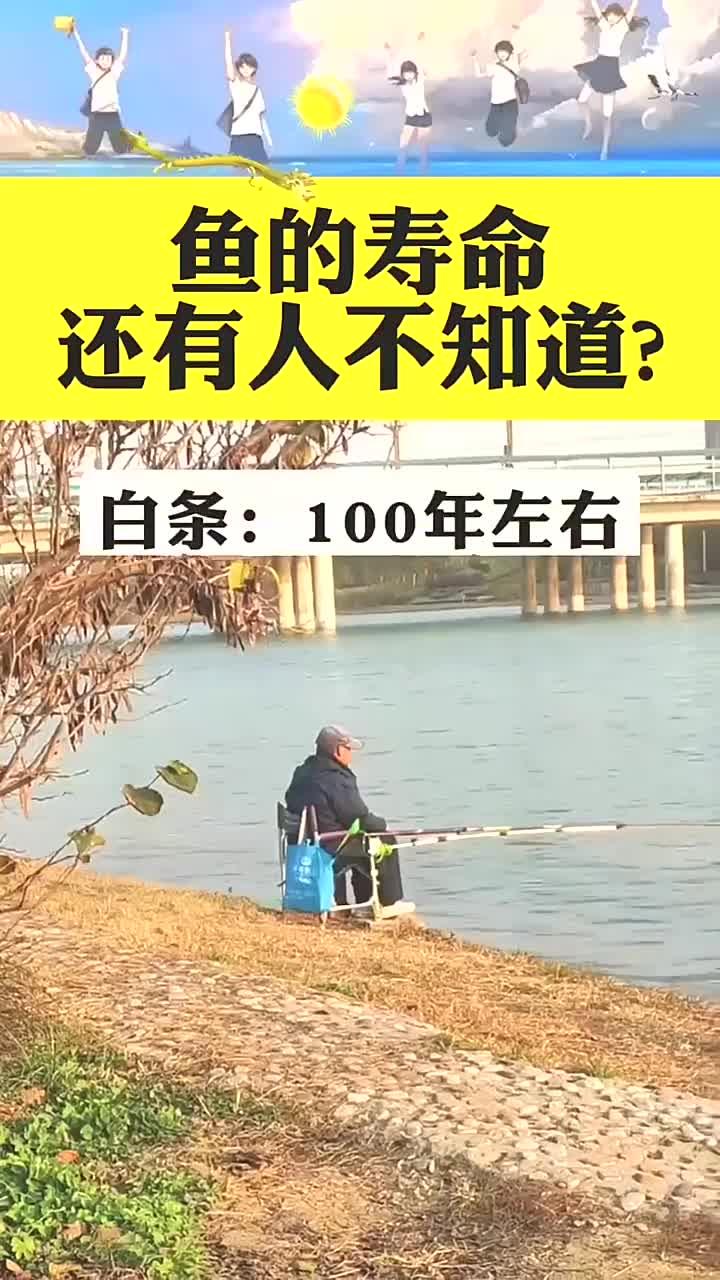 常见鱼类的寿命