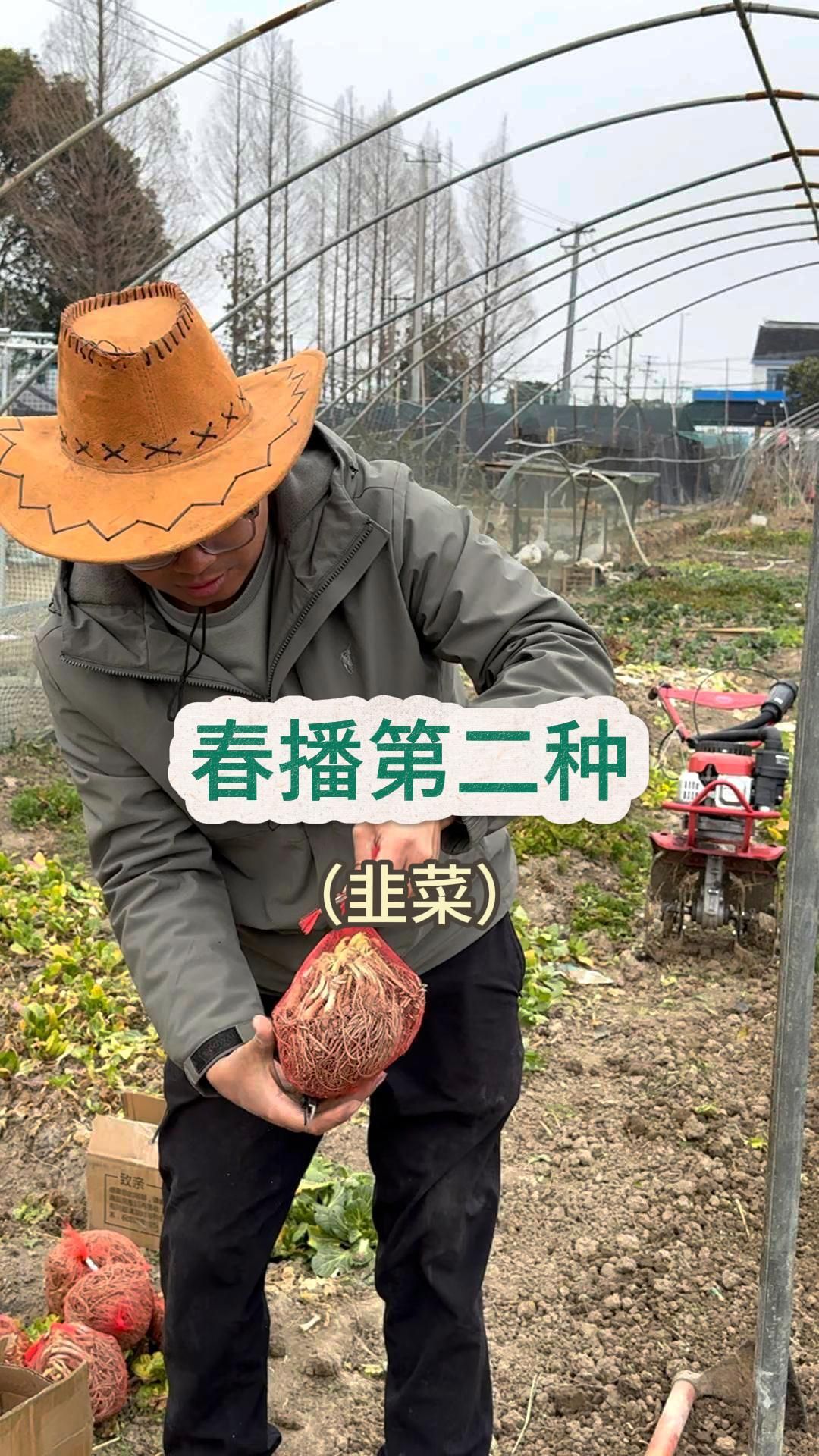都说韭菜是农残很高的