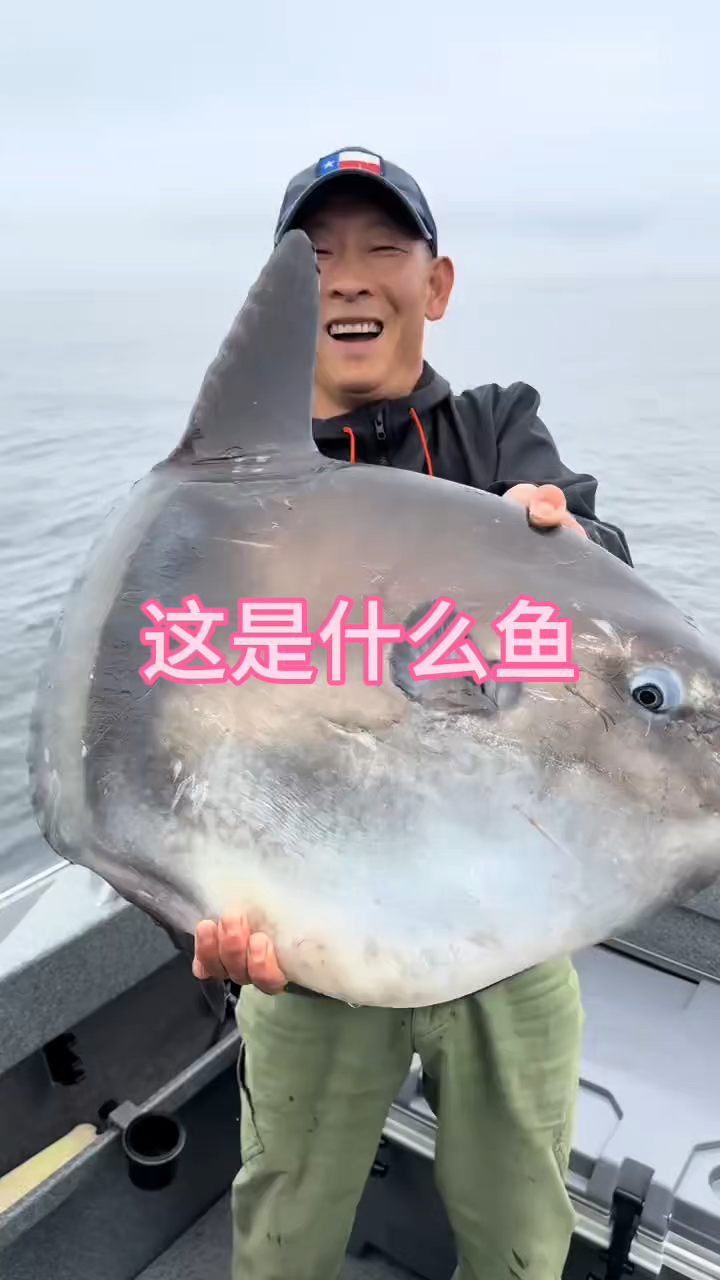 这是什么鱼你见过吗