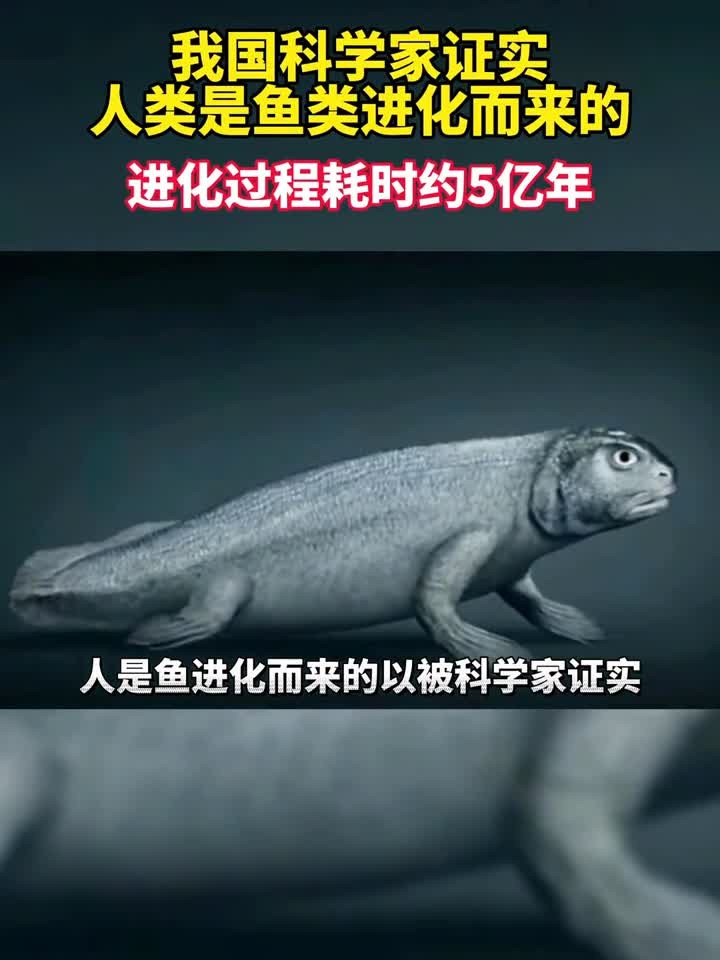 我国科学家证实人类是由鱼类进化而来的,进化过程耗时约5亿年!