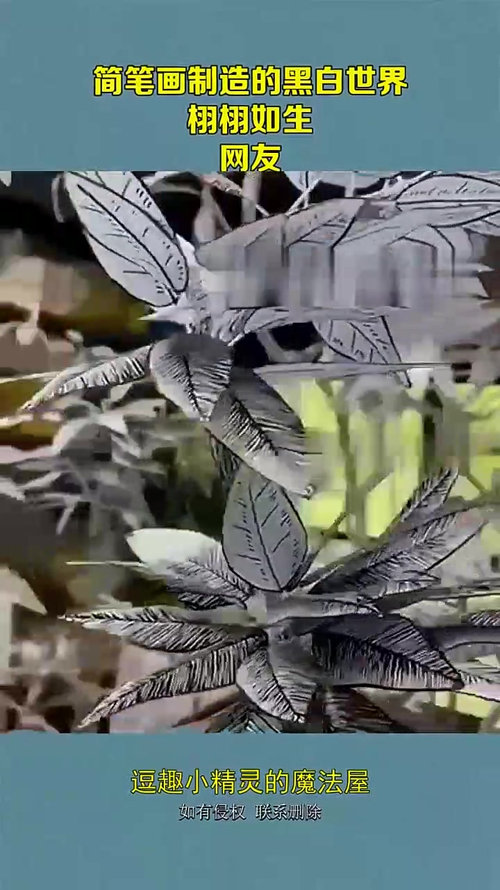 简笔画制造的黑白世界,栩栩如生,网友:片面生活堆积起立体人生