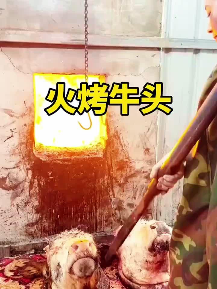 这烤牛头的方法我也是第一次见