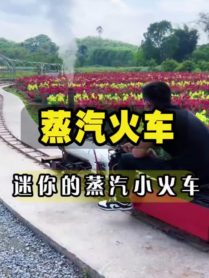 眼前的这个火车,可不是什么玩具,而是一辆迷你的蒸汽小火车