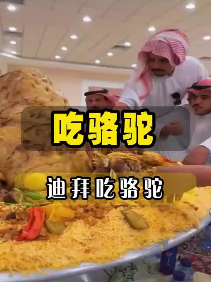 沙特人为什么那么爱吃骆驼呢,难道骆驼肉,就那么美味吗