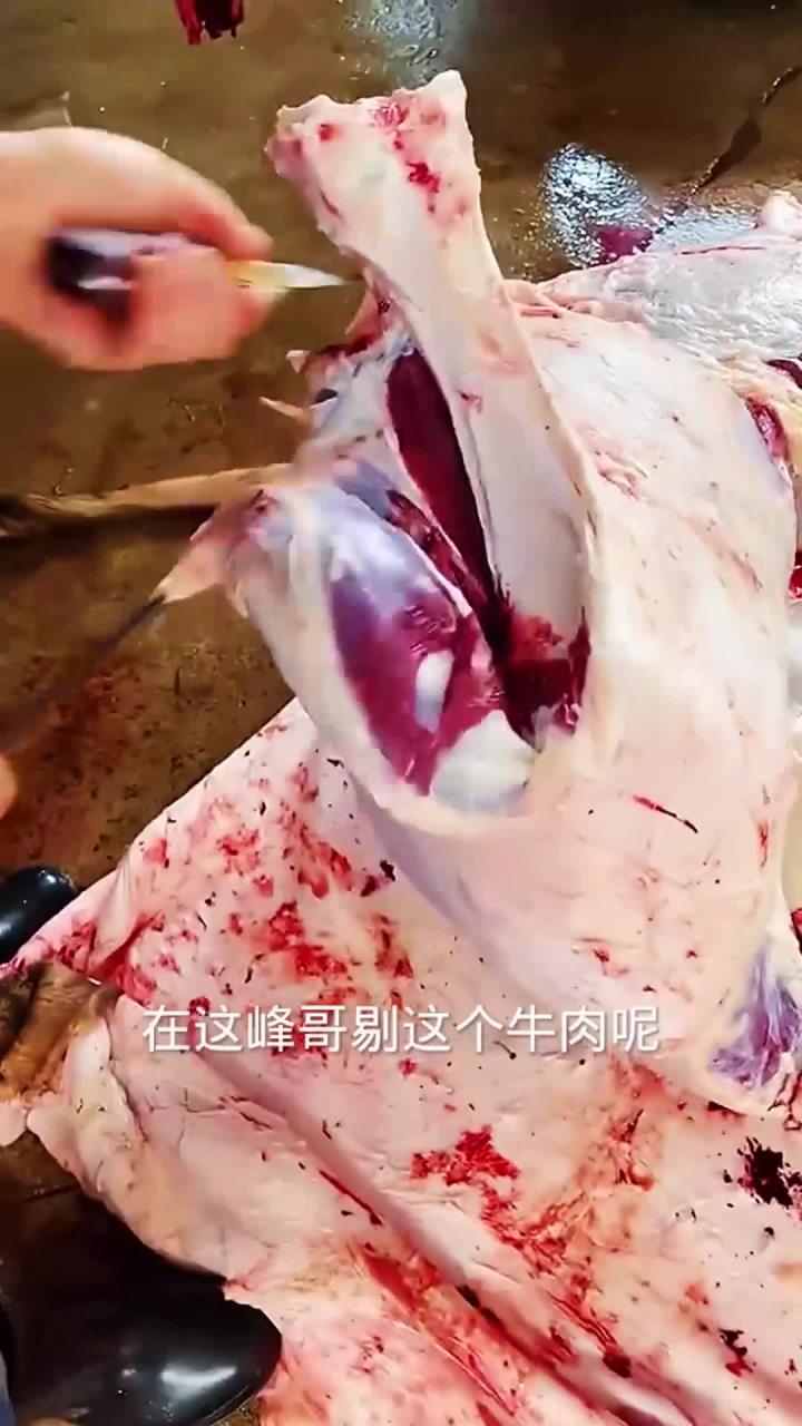 牛肉分割剔骨手法真专业