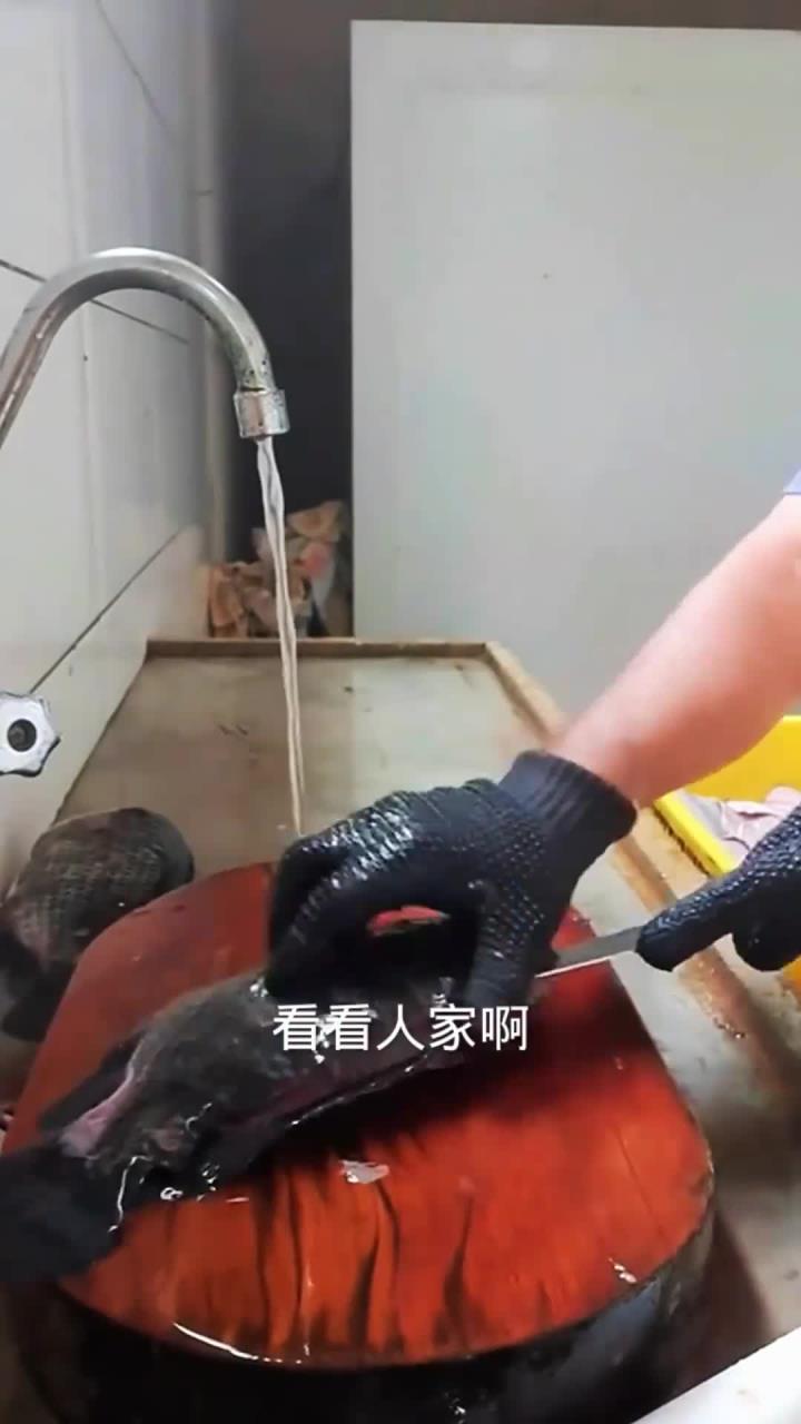 刺身鱼分割处理全过程