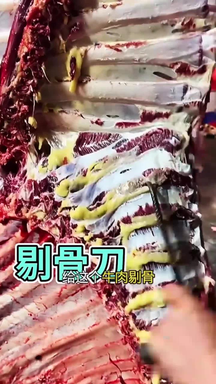 剔骨刀快速分割牛肉