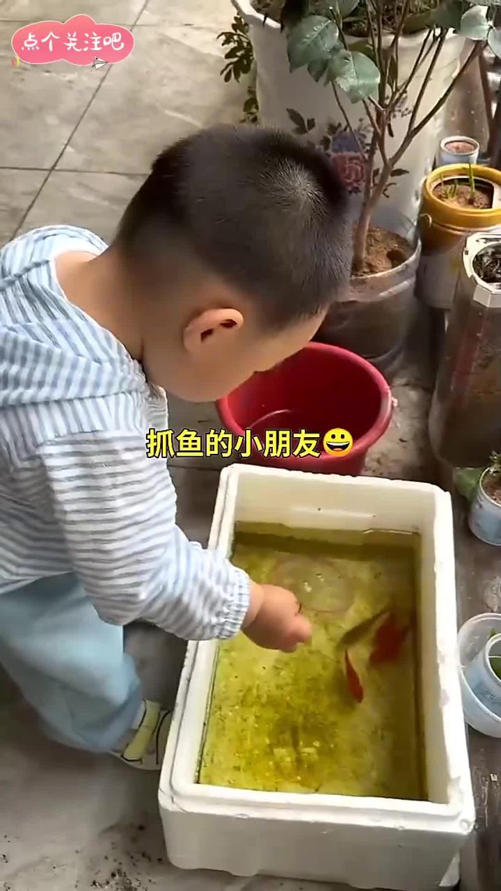 抓鱼的小朋友友