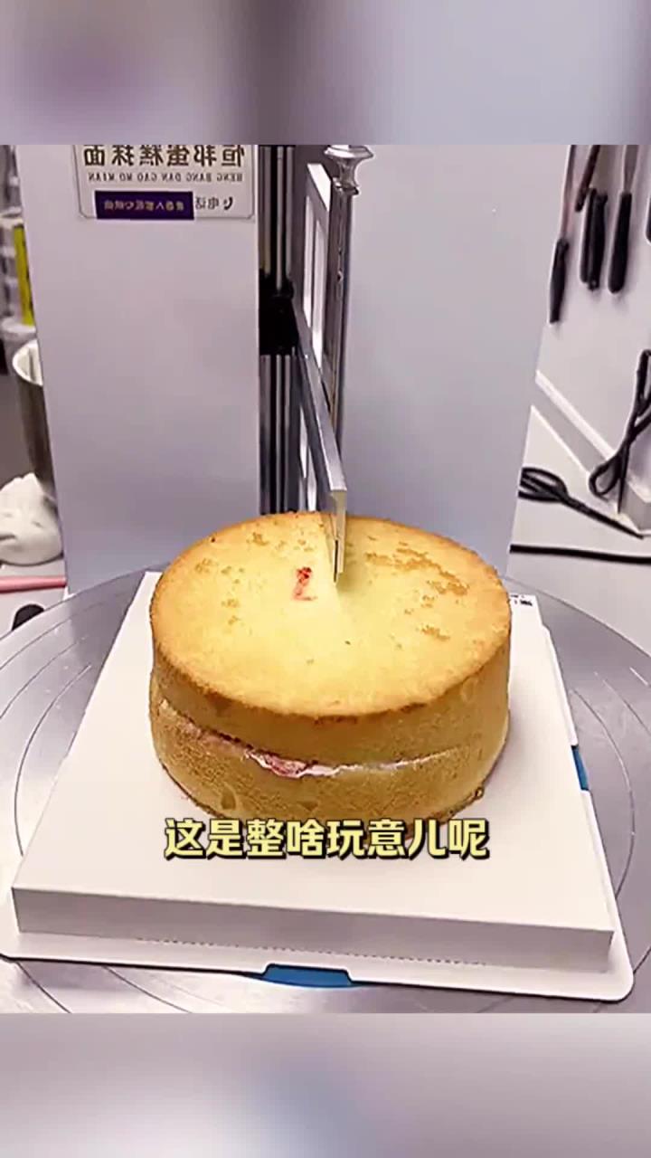 轻松打造美味蛋糕的全自动制作过程