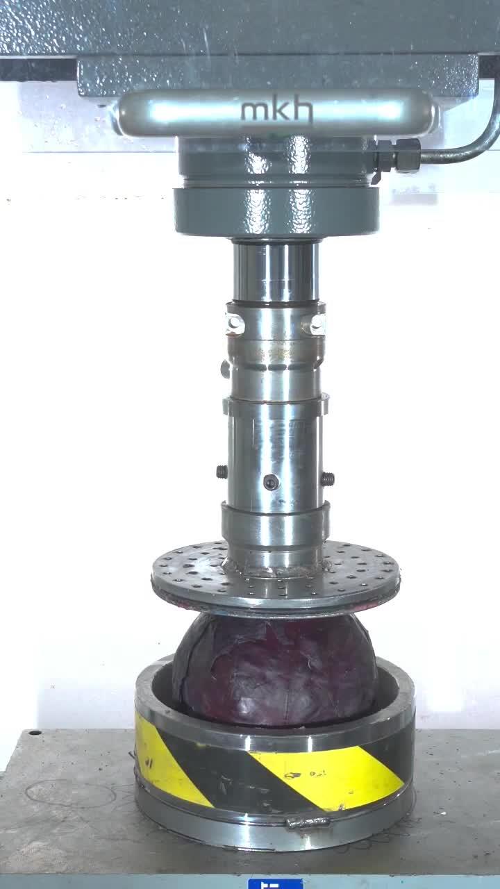 红色卷心菜遭虫子工具碾压的震撼时刻！