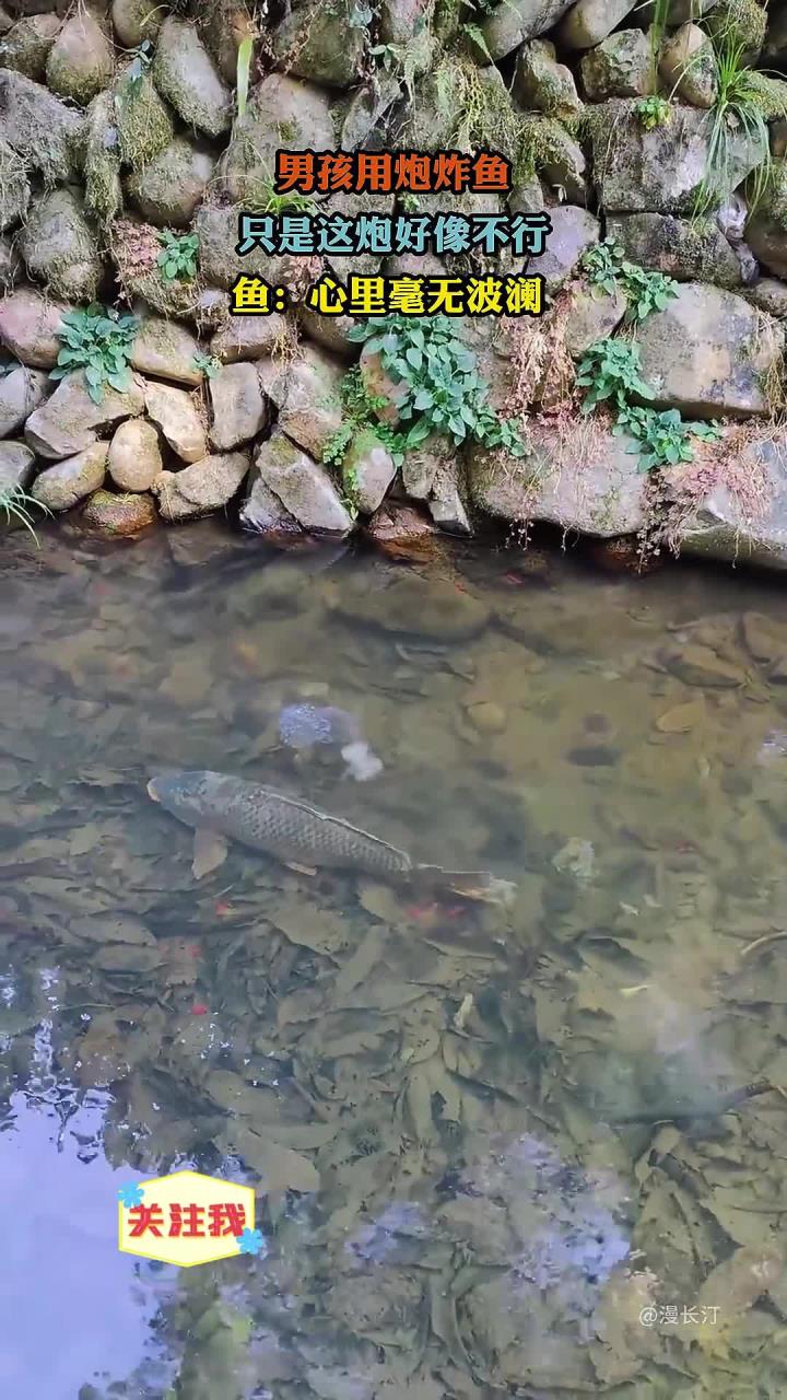 男孩用炮炸鱼,只是这炮好像不行,鱼:心里毫无波澜