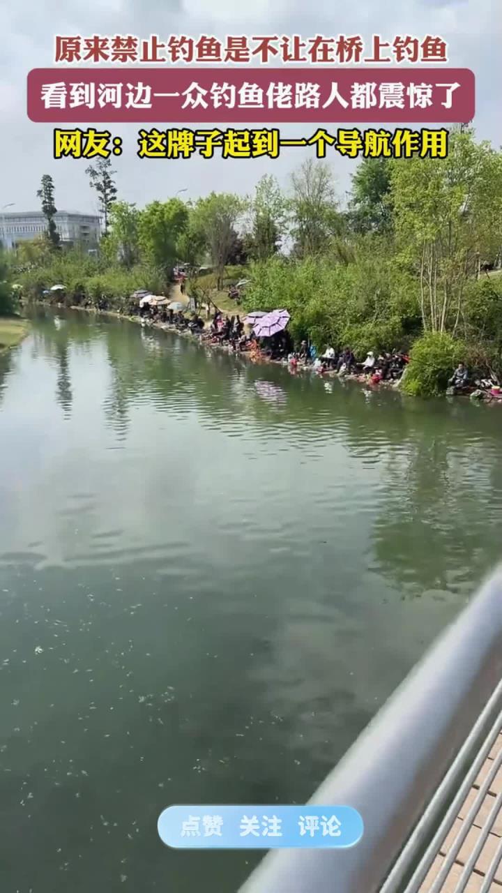 原来禁止钓鱼是不让在桥上钓鱼，看到河边一众钓鱼佬路人都震惊