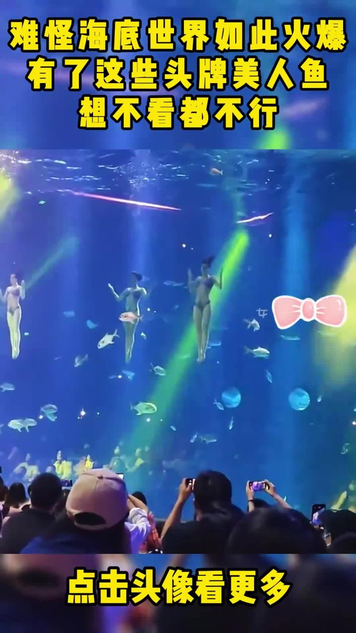 难怪海底世界如此火爆，有了这些头牌美人鱼，想不看都不行