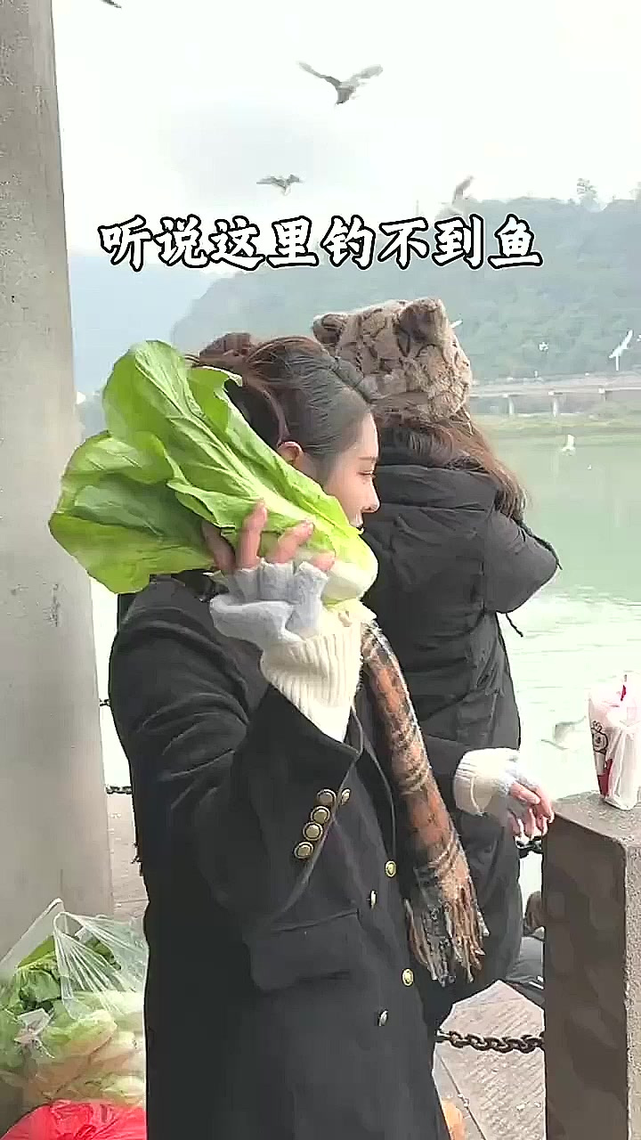 钓友们,调几钓几,用什么饵料