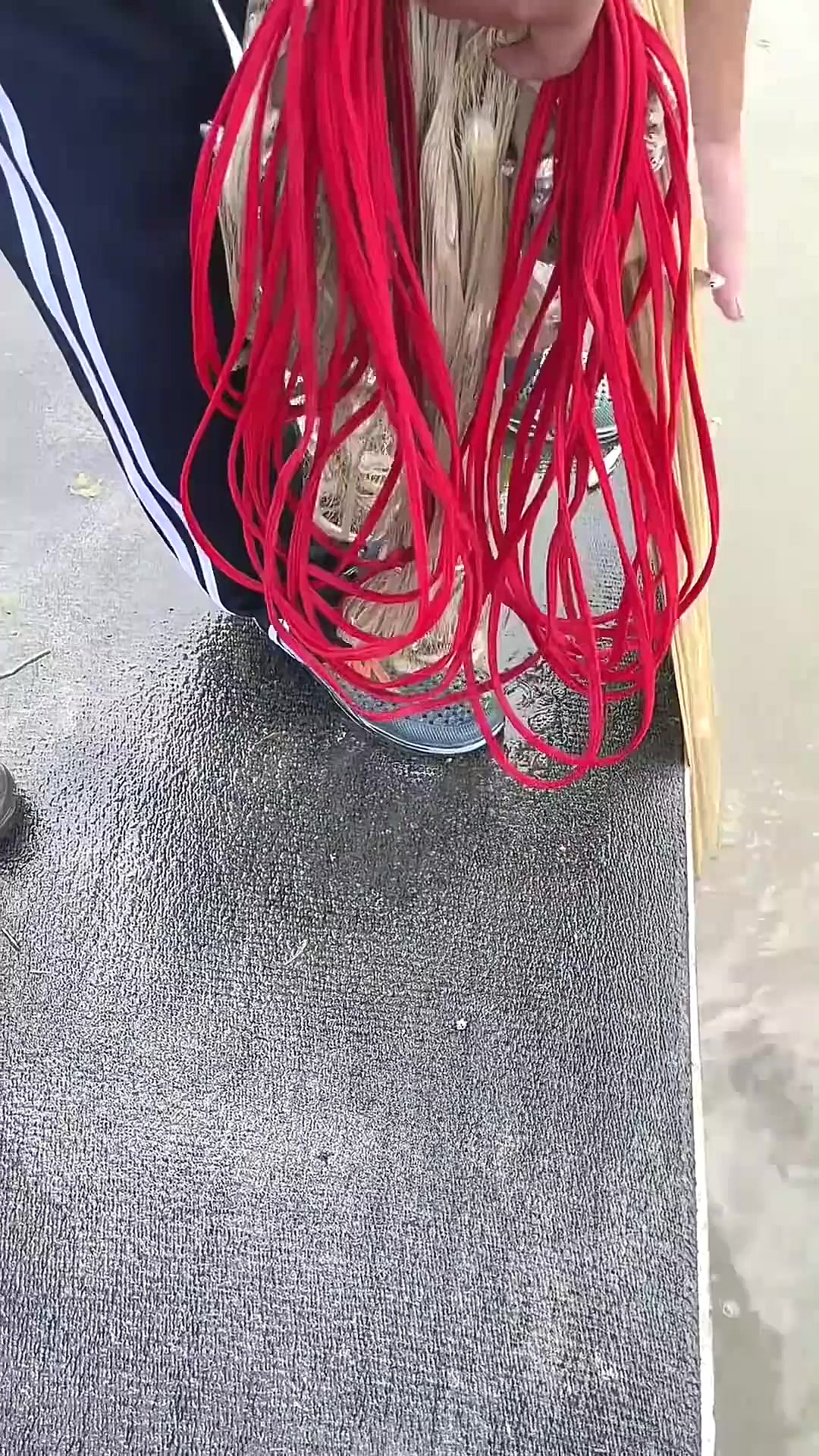 这么很多的小鱼,是什么鱼