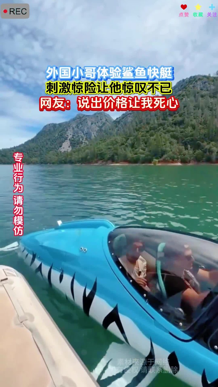 外国小哥体验鲨鱼快艇，刺激惊险让他惊叹不已，网友：说出价格让我死心