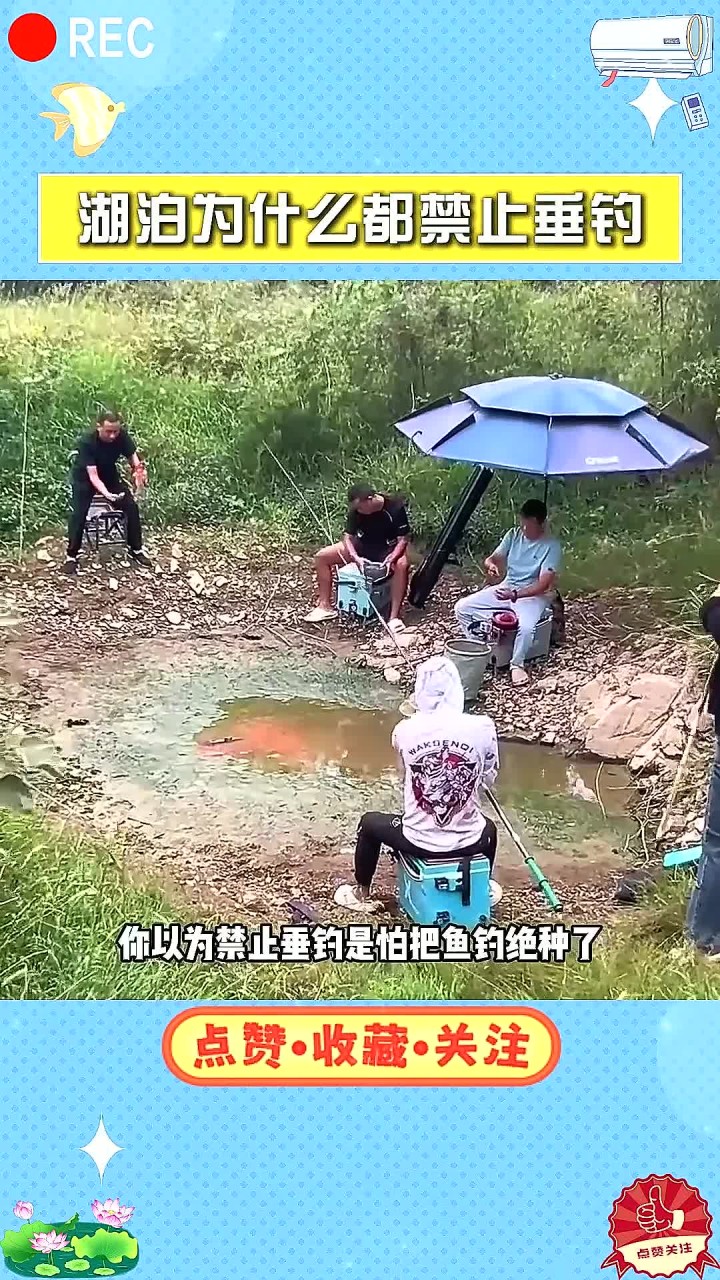 池塘湖泊为什么几乎都禁止垂钓？挂个牌子责任至少减一半