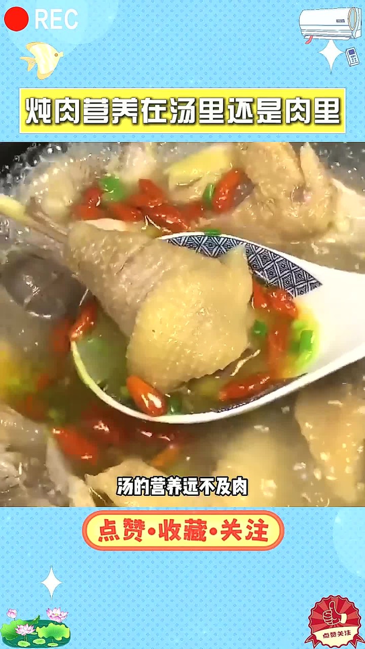 炖汤真相大揭秘：肉比汤更营养，广东人为何独爱煲汤？