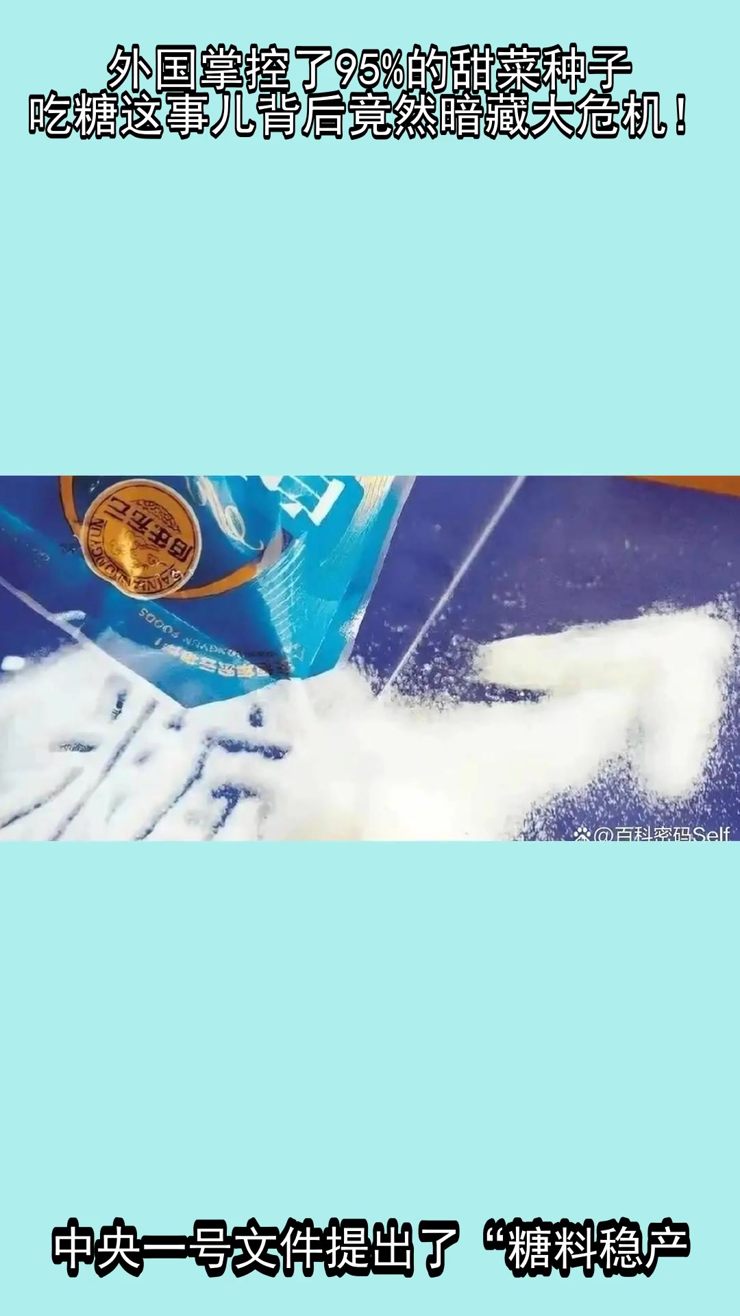 外国掌控了95%的甜菜种子,吃糖这事儿背后竟然暗藏大危机!